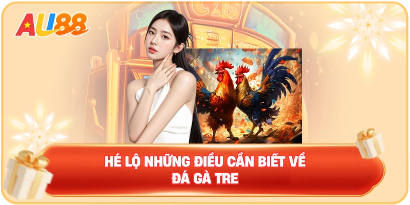 Đá Gà Tre – Hiểu Rõ Luật Chơi Và Cách Đánh Cơ Bản Nhất - WINMAVEN96.WORK